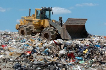 bird problem landfill