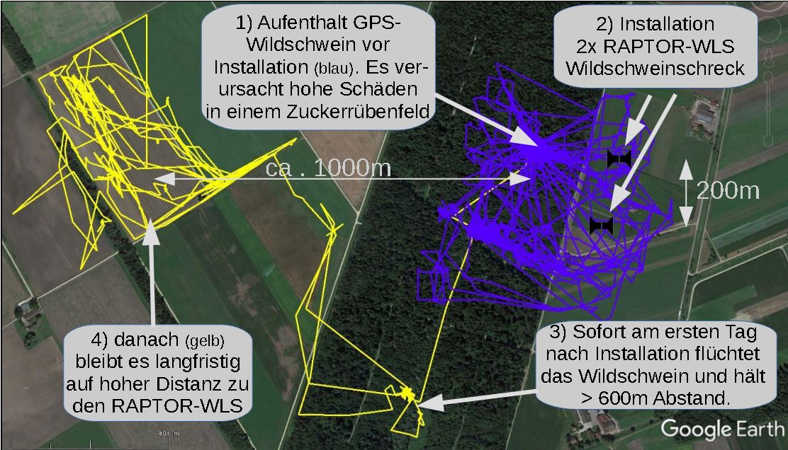 Studie Wildschweine akustisch abwehren