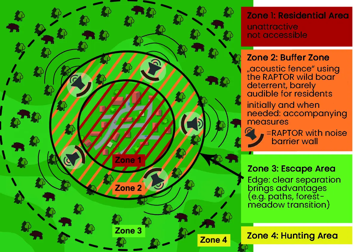 wild boar problem town