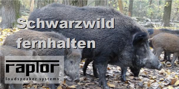 Aussaat vor Wildschweinen schuetzen