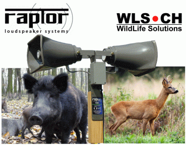 RAPTOR-WLS R35 Wildschwein-schreck