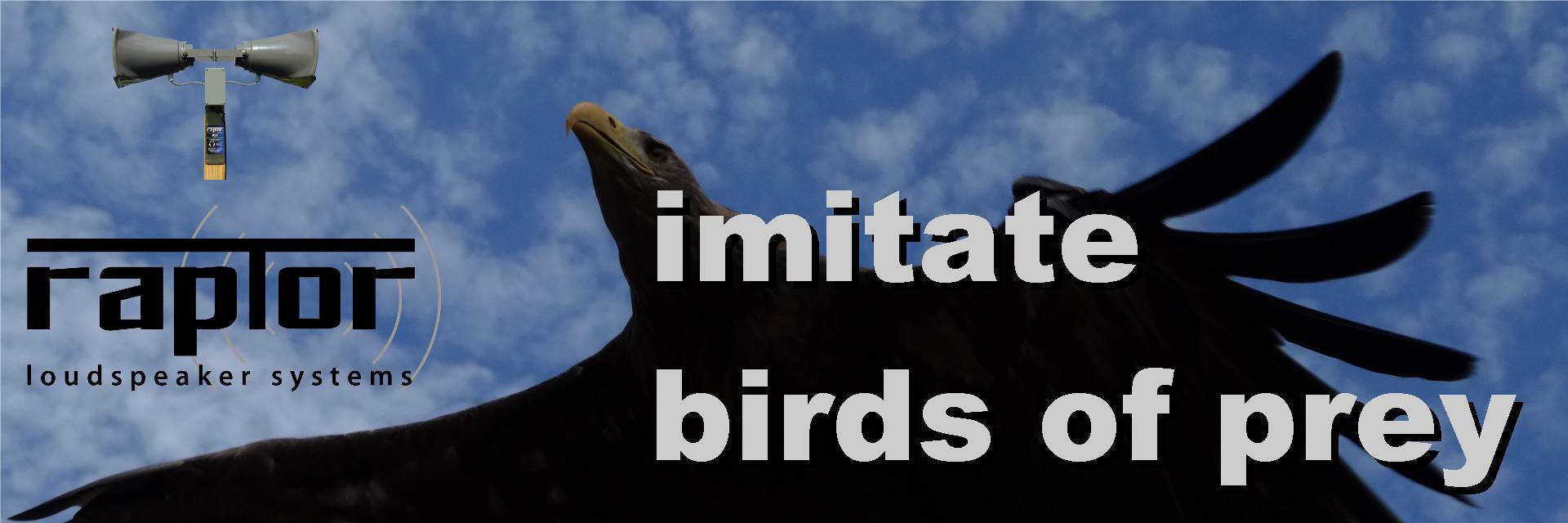 imitate birds of prey