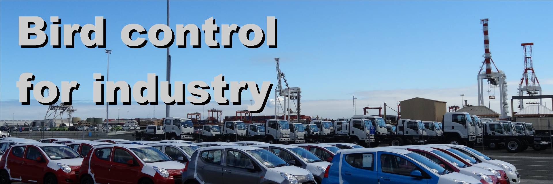 birdcontrol industry