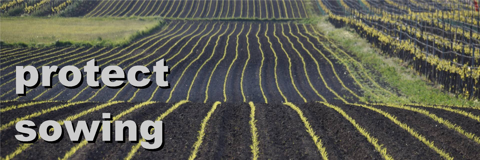 protect sowing