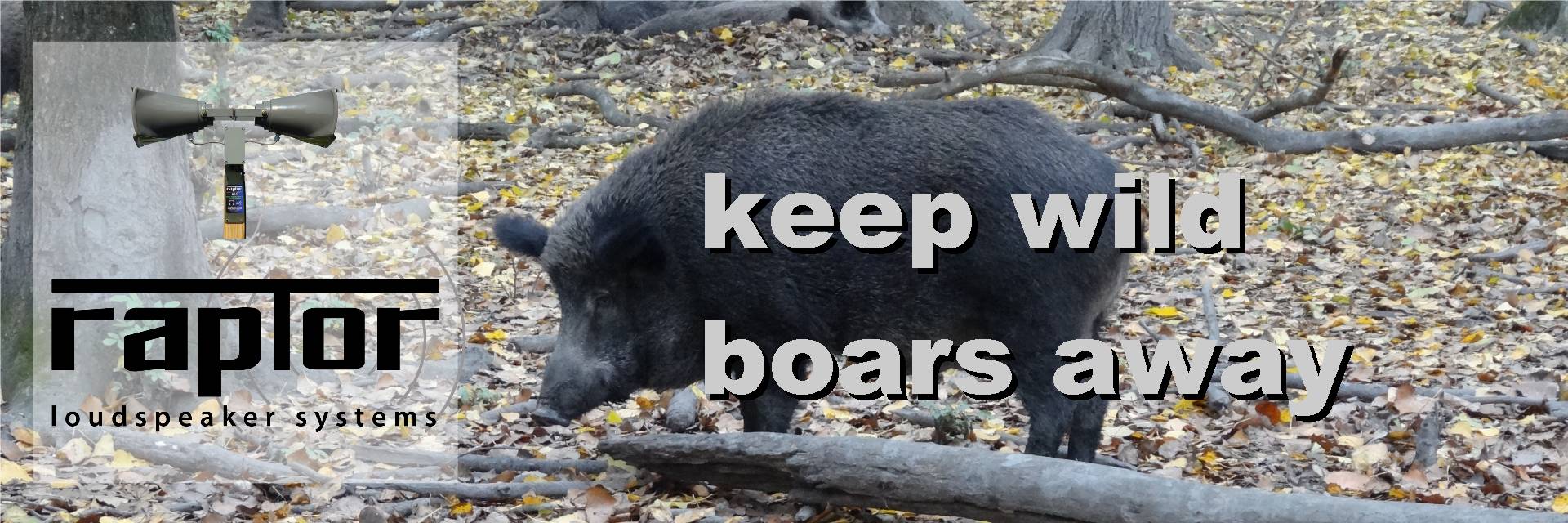 keep wild boars away