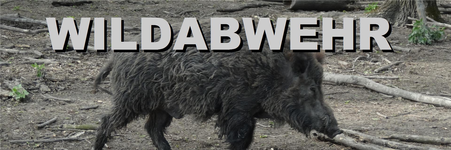 wildschweine vertreiben